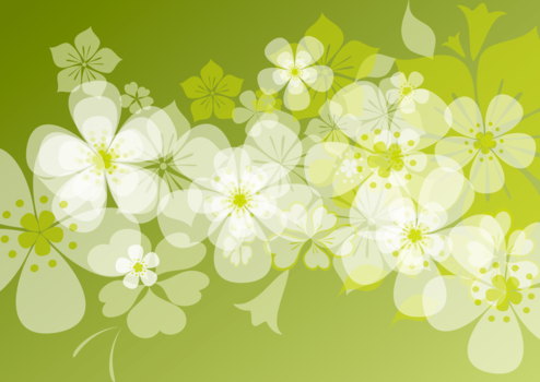 黄緑背景に白い花、春