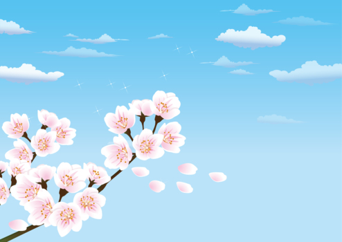 青空と桜、春