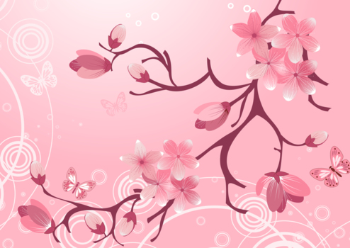 ピンク背景に桜、春