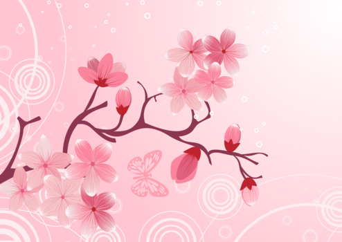 桜と波紋、春