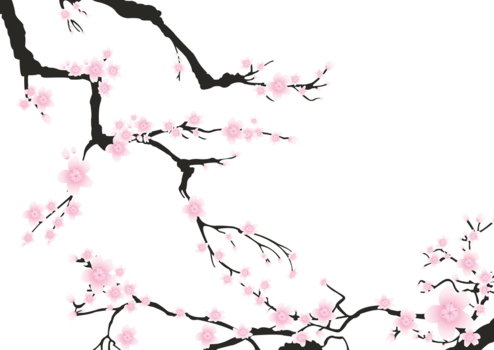 桜、春