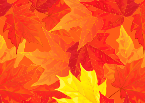 紅葉絨毯、秋