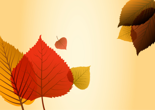 シックな赤と茶の葉、秋