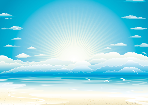 白い砂浜と青い海と太陽、カモメ、風景