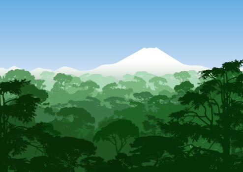 樹海の向こうの富士山、風景