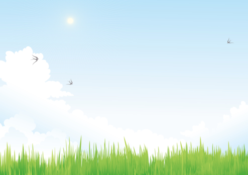 草原の空に舞うツバメ、雲、太陽、風景