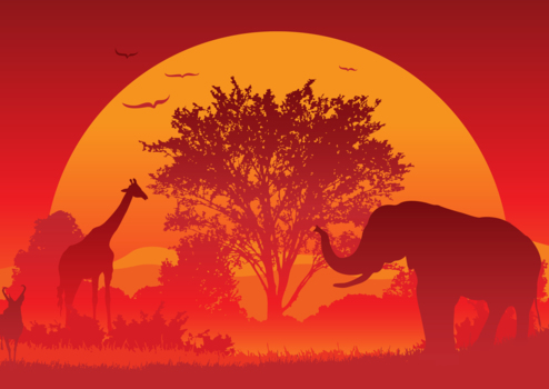アフリカの大きな夕日、赤、ゾウ、ライオン、風景