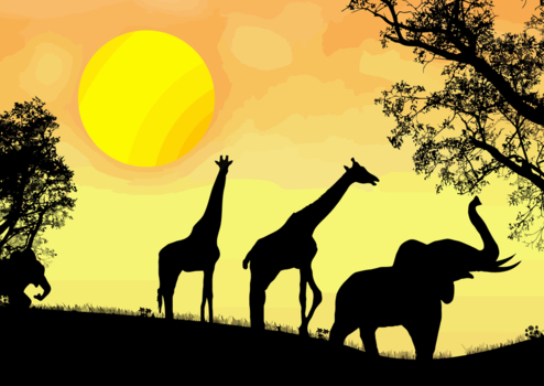 アフリカの夕日、黄色、キリン、ゾウ、風景
