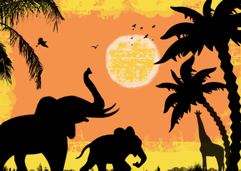 アフリカの夕日のシルエット、ゾウ、キリン、風景